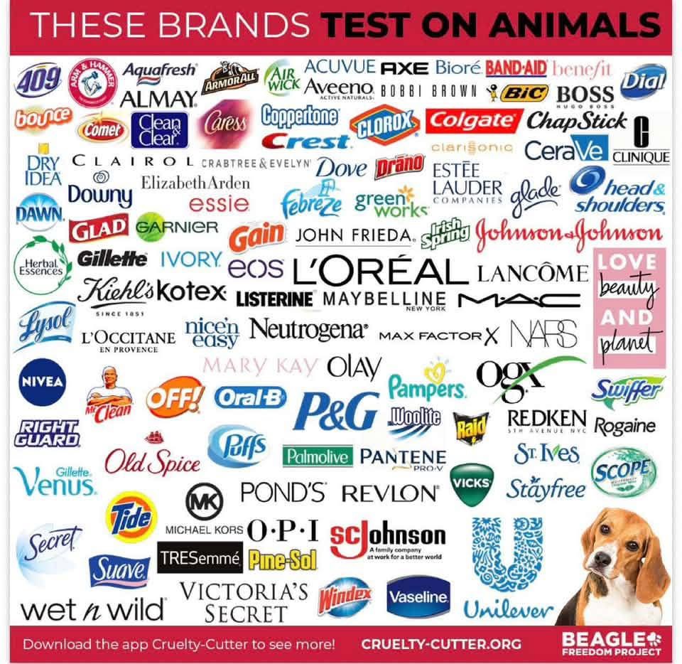 Graphic listing brands identified as testing on animals, with a beagle pictured in the lower-right corner