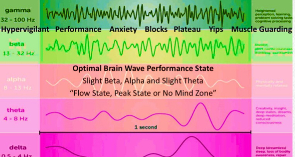 Brainwave states chart — gamma, beta, alpha, theta, delta — with the Optimal Brain Wave Performance State (slight beta, alpha, slight theta) highlighted as the Flow State, Peak State, or No Mind Zone.